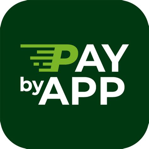 city of dallas.rmcpay.com|paybyapp .